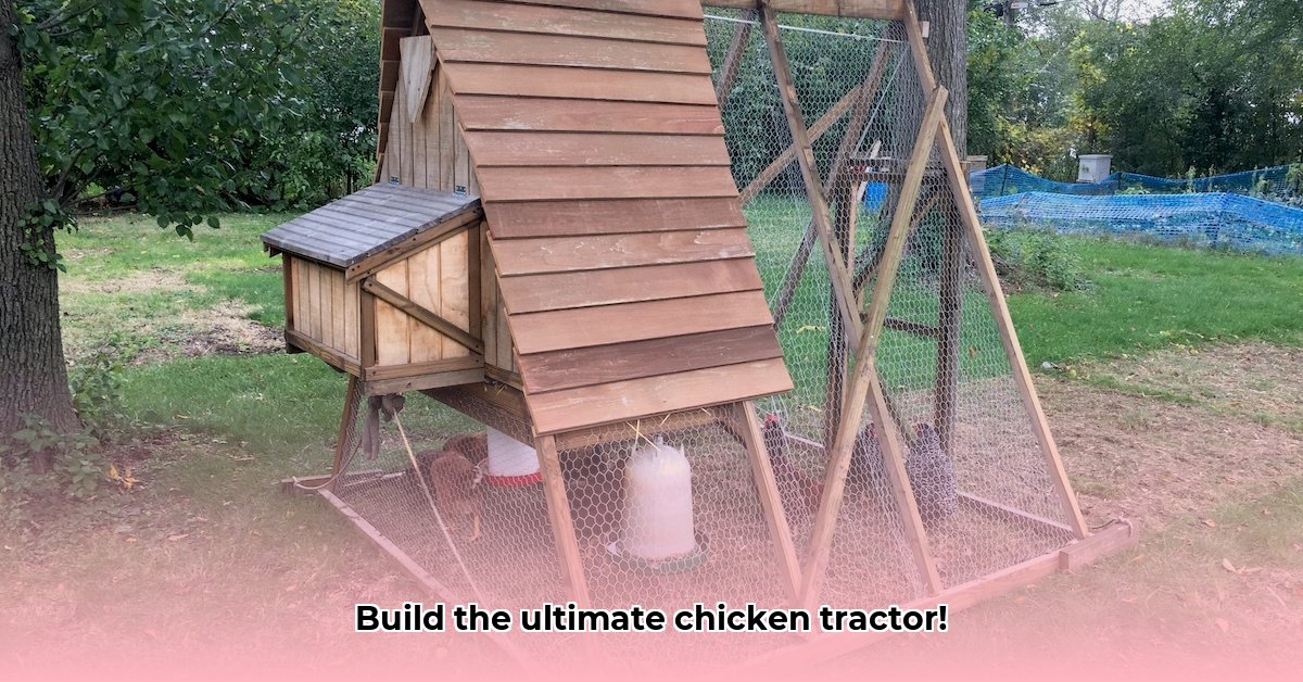 a-frame-chicken-tractor